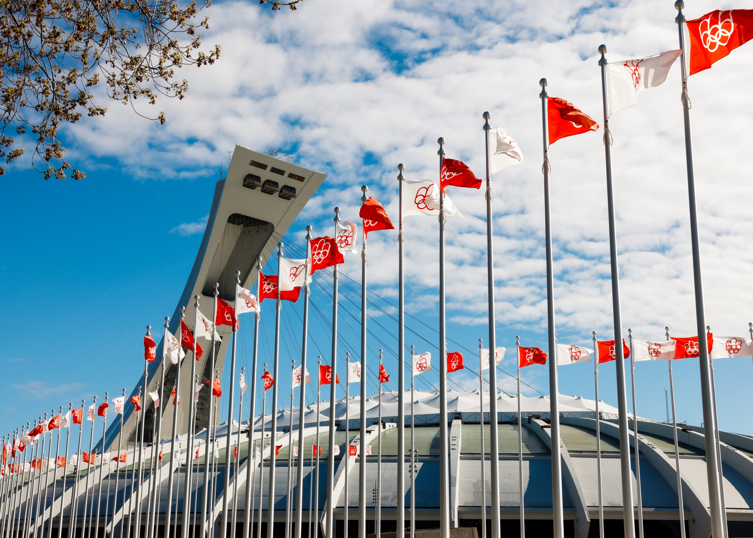 132 drapeaux du Québec sur l'Esplanade du Parc olympique pour la