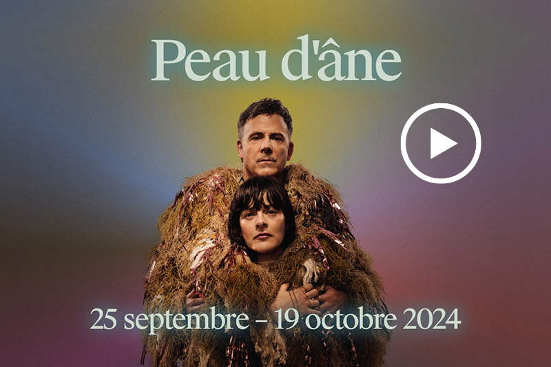 peau-dane Peau d'âne