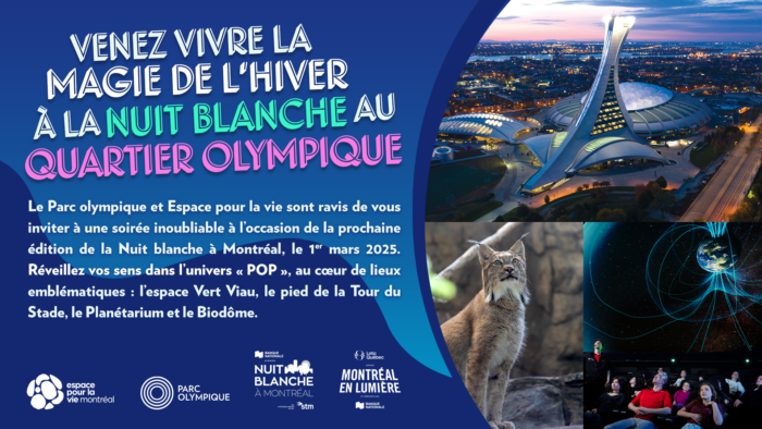 Venez vivre la magie de l'hiver à la Nuit blanche au Quartier olympique